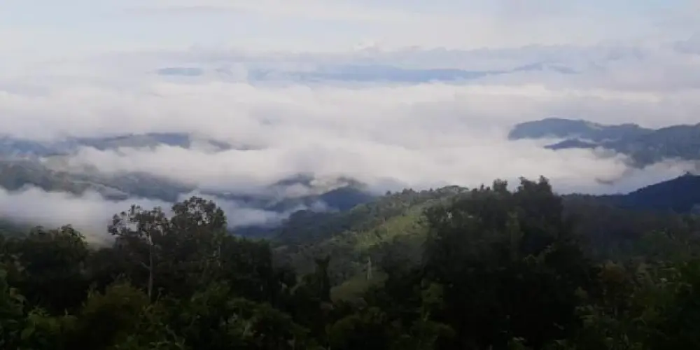 Imagem do grupo de WhatsApp 💋H~O~U~S~E💋