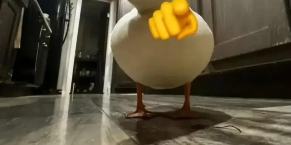 Imagem do grupo de WhatsApp House