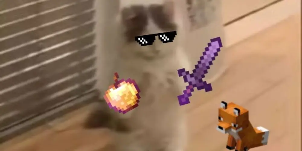 Imagem do grupo de WhatsApp ⁺₊⋆house de Minecraft