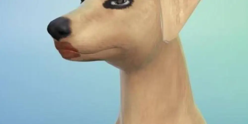 Imagem do grupo de WhatsApp 🌟H̲O̲U̲S̲E̲ ̲F̲A̲M̲I̲L̲Y̲🌟