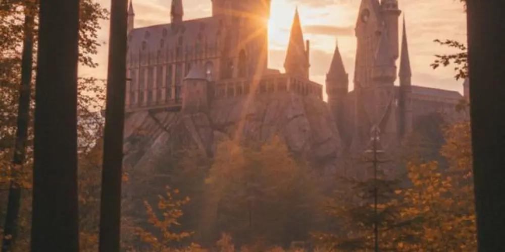 Imagem do grupo de WhatsApp House Harry Potter.