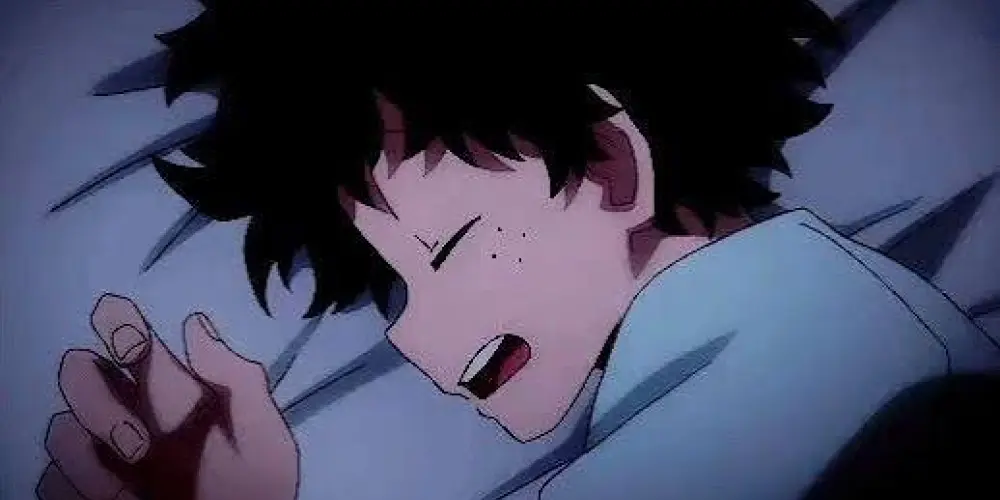 Imagem do grupo de WhatsApp House, My Hero academia