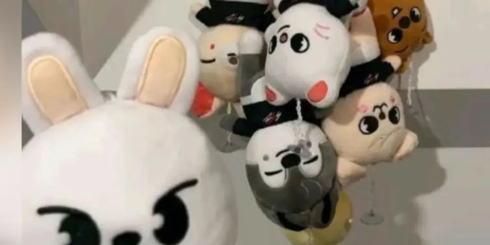 Imagem do grupo de WhatsApp 🌸 ･ﾟ✧ HOUSE SKZ ✧ﾟ･ 🌸