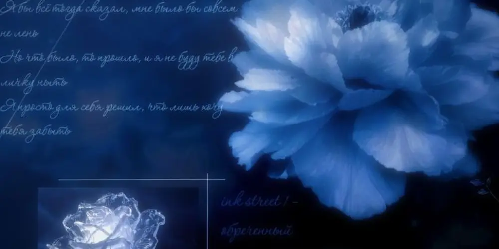 Imagem do grupo de WhatsApp House upside