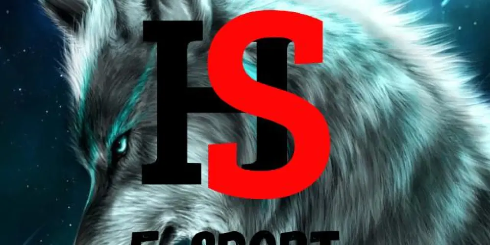 Imagem do grupo de WhatsApp HS e-sport