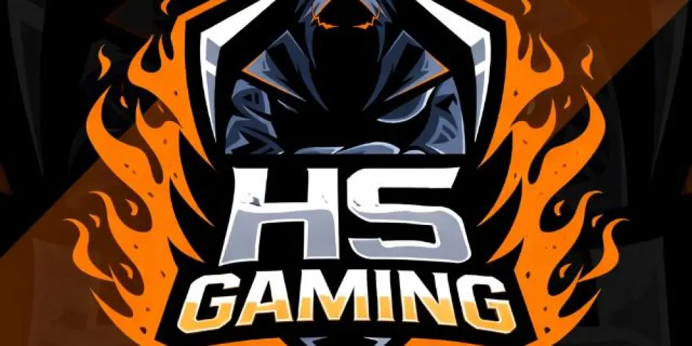 Imagem do grupo de WhatsApp HS• GAMING