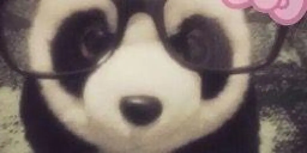 Imagem do grupo de WhatsApp ƬΗΣ PЯӨGЯΛM