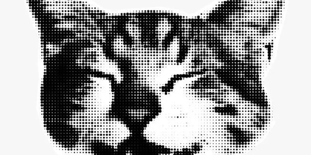 Imagem do grupo de WhatsApp 😂 Humor & Memes