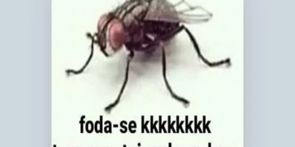 Imagem do grupo de WhatsApp HUMOR SUPER FUDIDO