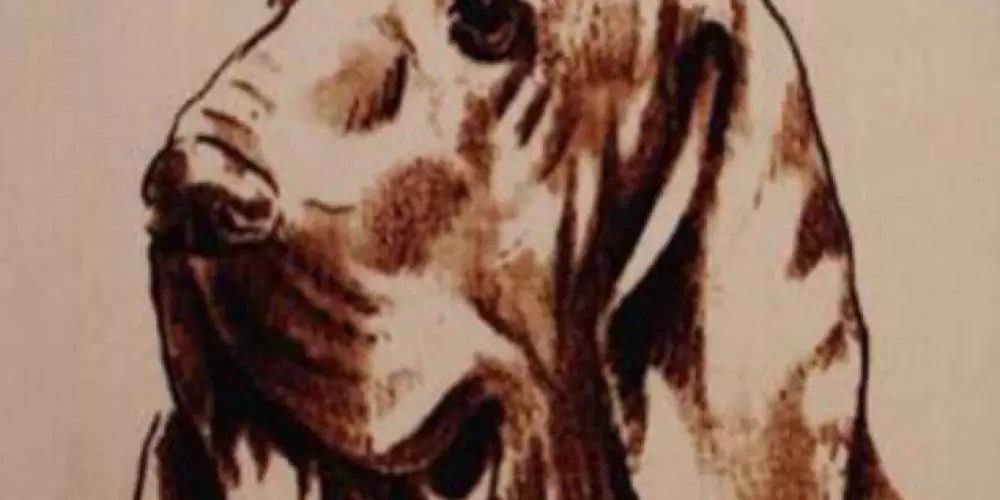 Imagem do grupo de WhatsApp Hunters