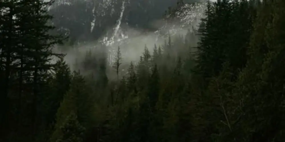 Imagem do grupo de WhatsApp ᆞhᆞyᆞlᆞlᆞyᆞ