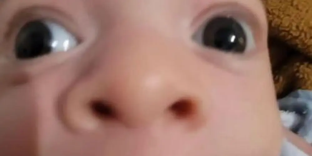 Imagem do grupo de WhatsApp 🅾🆂 🆂🅴🅼 🅹🆄í🆉🅾