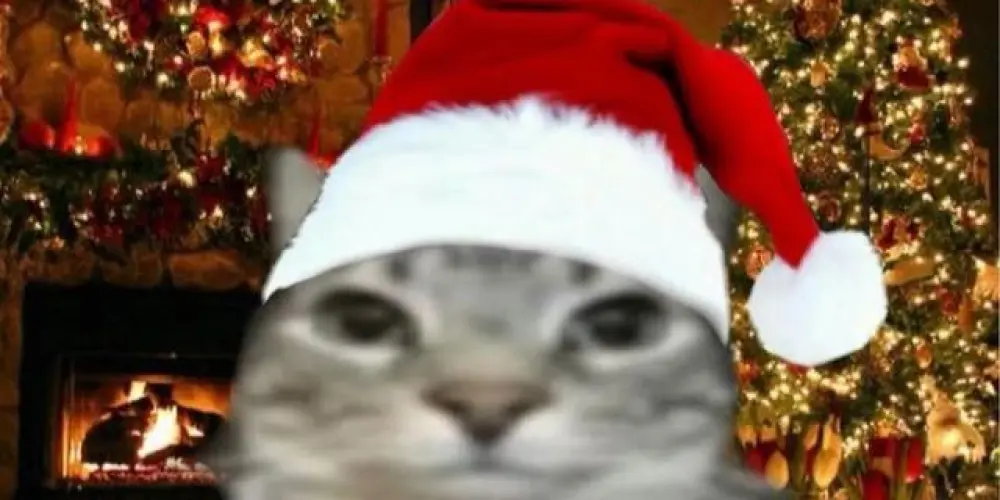 Imagem do grupo de WhatsApp ༺★. ͦ ◤𝙃𝙤𝙨𝙥í𝙘𝙞𝙤 𝙎𝙩𝙖𝙣𝙡𝙚𝙮 ◥ ͦ .★༻