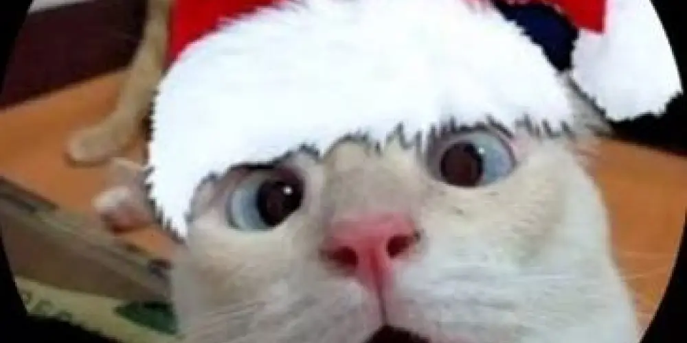 Imagem do grupo de WhatsApp Ⓗⓞⓢⓟíⓒⓘⓞ 🇧🇷