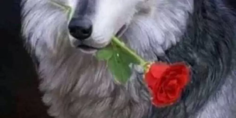 Imagem do grupo de WhatsApp I am beyond of strength