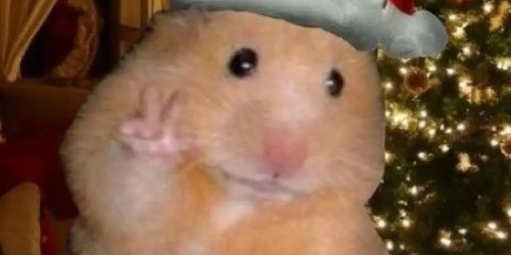 Imagem do grupo de WhatsApp 🌜✨𝐓𝐡𝐞 η꒐ɢ𝙝𝙩 𝘢𝒏g𝕖𝐥𝐬✨🌜