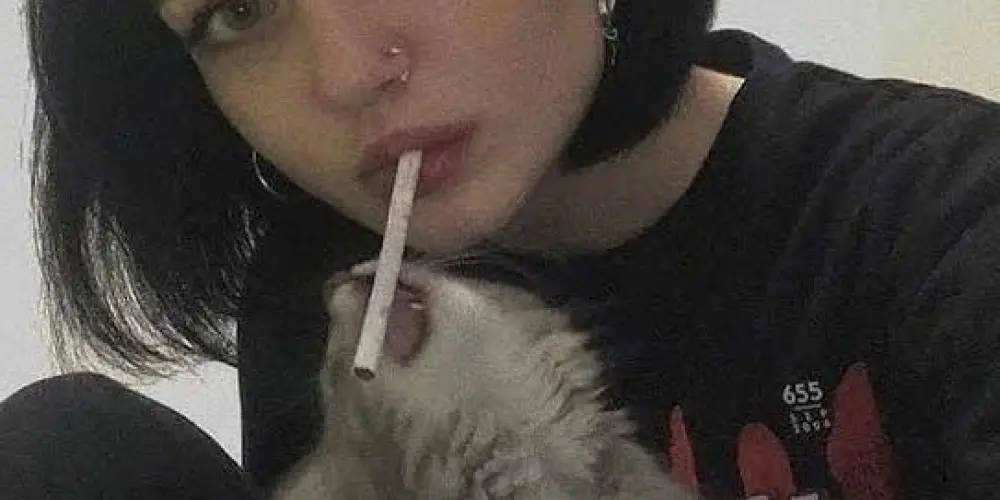 Imagem do grupo de WhatsApp 🌟ᖱ៩⩔ɨɭ ⨏Ʀɨ៩⩎ᖱន🌟︻┳═─-