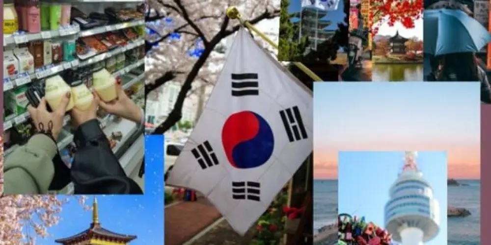 Imagem do grupo de WhatsApp 🇰🇷 I LOVE COREIA DO SUL 🇰🇷