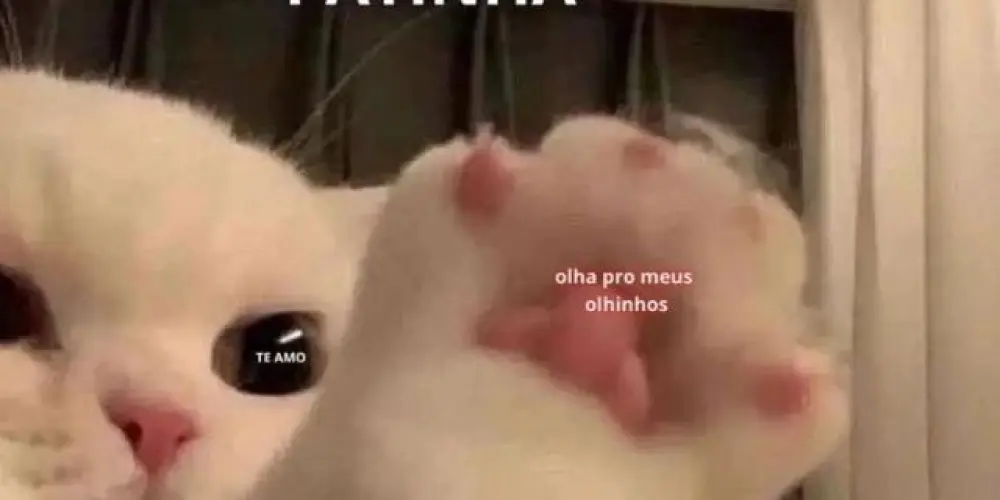 Imagem do grupo de WhatsApp 请阅读 I 𝘄𝗮𝗻𝗻𝗮 𝖇𝖊 your s̶l̶a̶v̶e̶