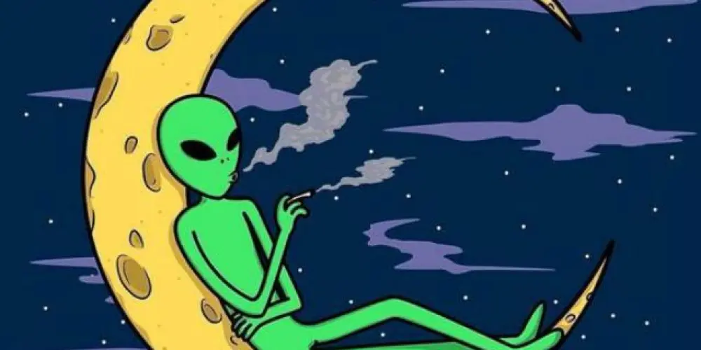 Imagem do grupo de WhatsApp ∆Я∑∆ 51 💥🛸👽🍁