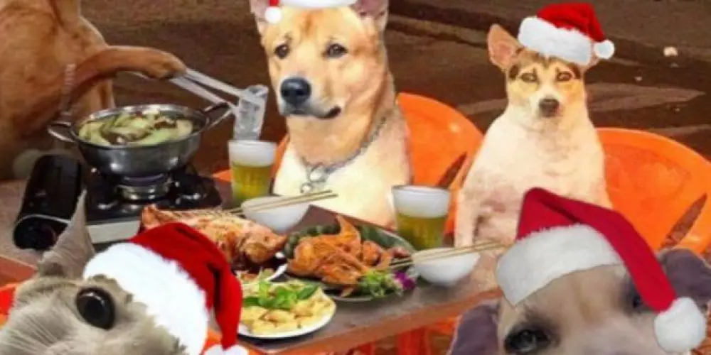 Imagem do grupo de WhatsApp 🍭 ЯΣΛᄂIƬY - ΛMIZΛDΣ 🍭