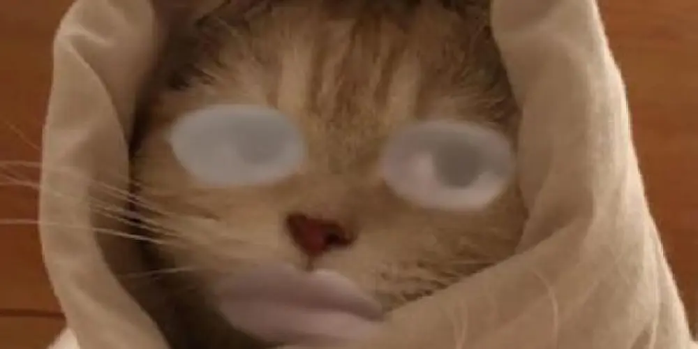 Imagem do grupo de WhatsApp Ƙɛяσтℓʏи♪Ǥσcκ