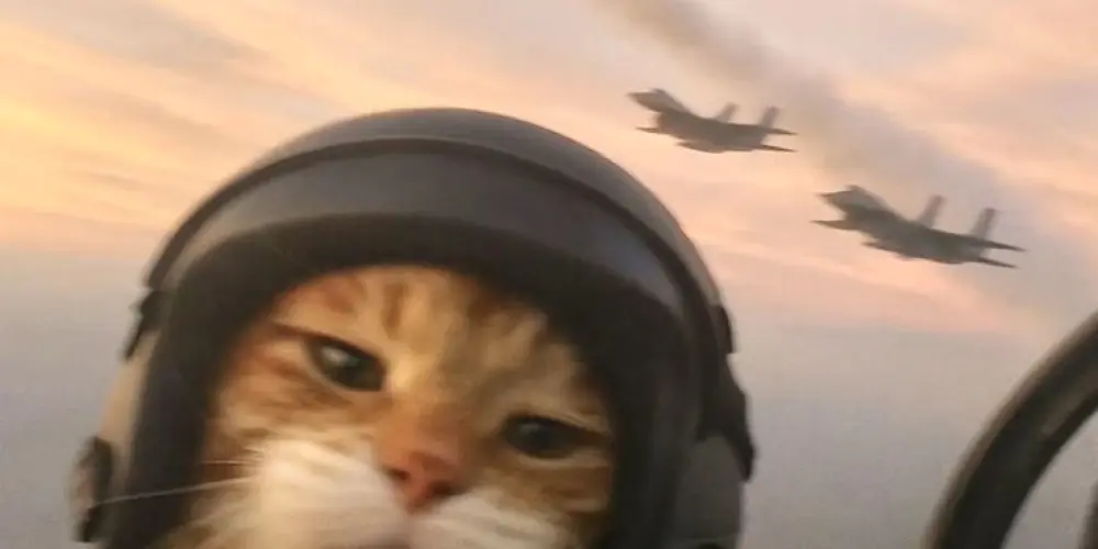 Imagem do grupo de WhatsApp 🌪️ ᗩᗰIᘔᗩᗪE IᑎᐯIᔕÍᐯEᒪ