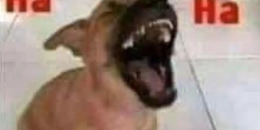 Imagem do grupo de WhatsApp igreja universal 🙏