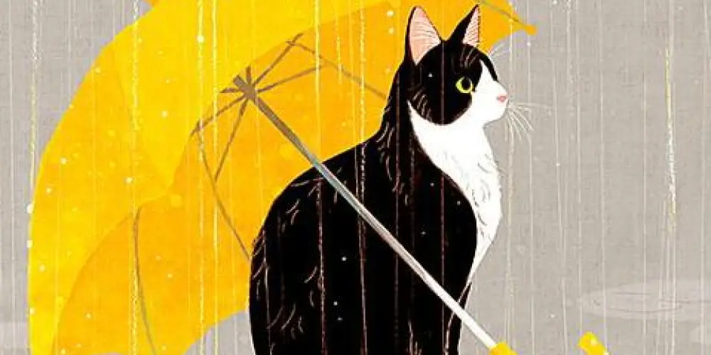 Imagem do grupo de WhatsApp ❣️𝕊𝕋𝕀ℂ𝕂𝔼ℝ 𝕆ℕ𝕃𝕐 II 🌎🕊️