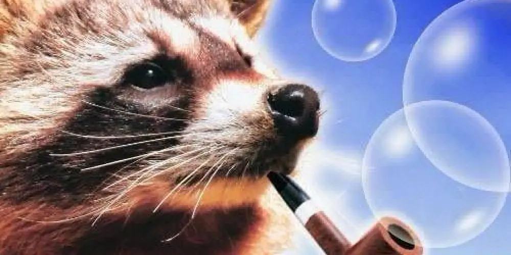 Imagem do grupo de WhatsApp IIIIIIIIIII