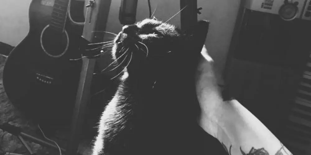 Imagem do grupo de WhatsApp ⏤͟͟͞͞ɖɨʀɛƈȶɨօռ ┆🫆⃢𝖼𝗁𝗈𝗂𝖼𝖾𝗌