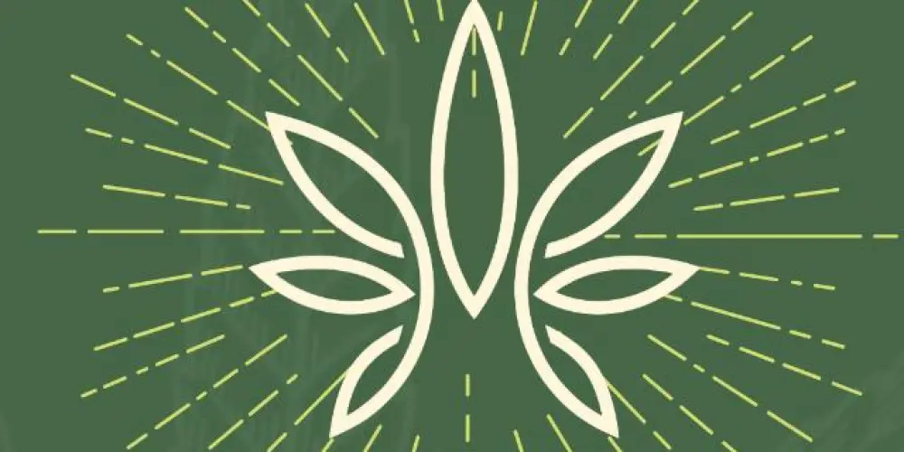 Imagem do grupo de WhatsApp Ilumina Flor