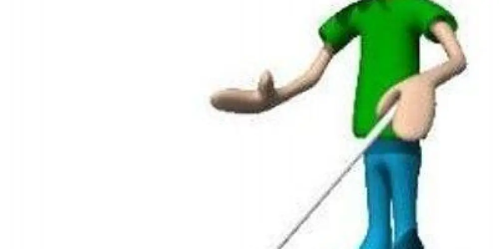 Imagem do grupo de WhatsApp i'm blind👩🏻‍🦯🧑🏾‍🦯