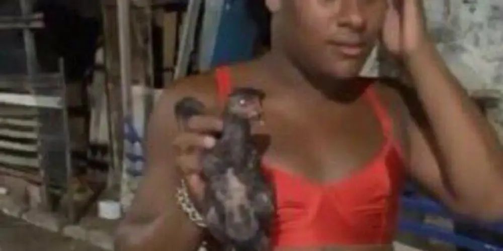 Imagem do grupo de WhatsApp inferninho