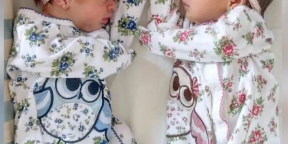 Imagem do grupo de WhatsApp Inseminação artificial caseira