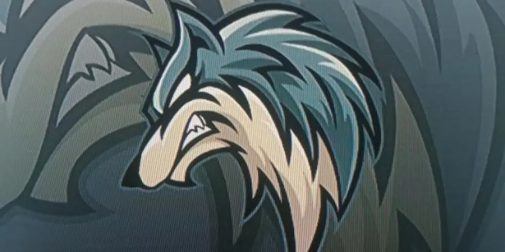 Imagem do grupo de WhatsApp INT3RNATOS