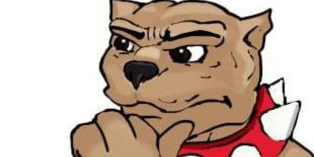 Imagem do grupo de WhatsApp Intankavel