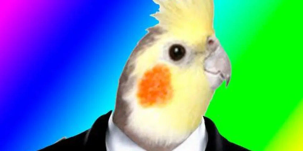 Imagem do grupo de WhatsApp Inteligência ao contrário 🫪