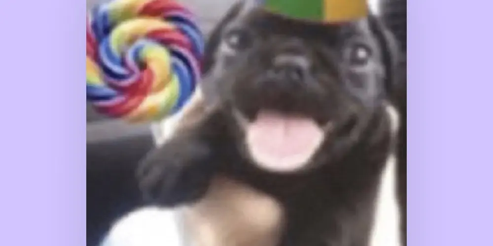 Imagem do grupo de WhatsApp Interação