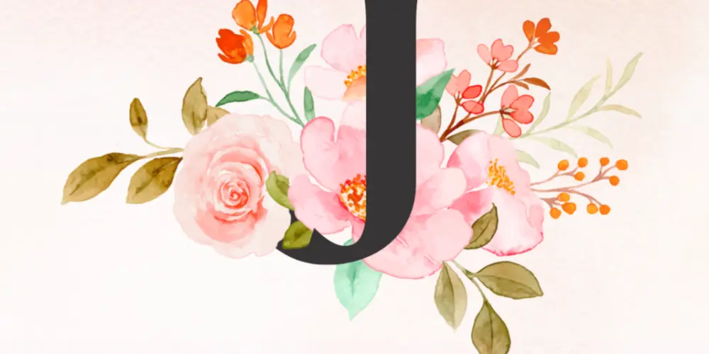 Imagem do grupo de WhatsApp Interação com a JhaConFer