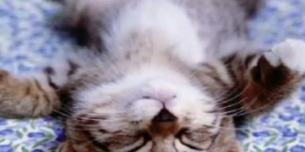 Imagem do grupo de WhatsApp ❤️‍🔥 Intitulados ❤️‍🔥