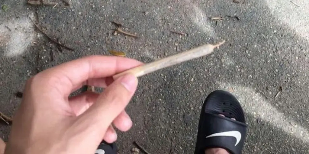 Imagem do grupo de WhatsApp Invasores de útero 🤟🏻