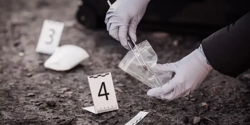 Imagem do grupo de WhatsApp Investigação Creppy e Relatos