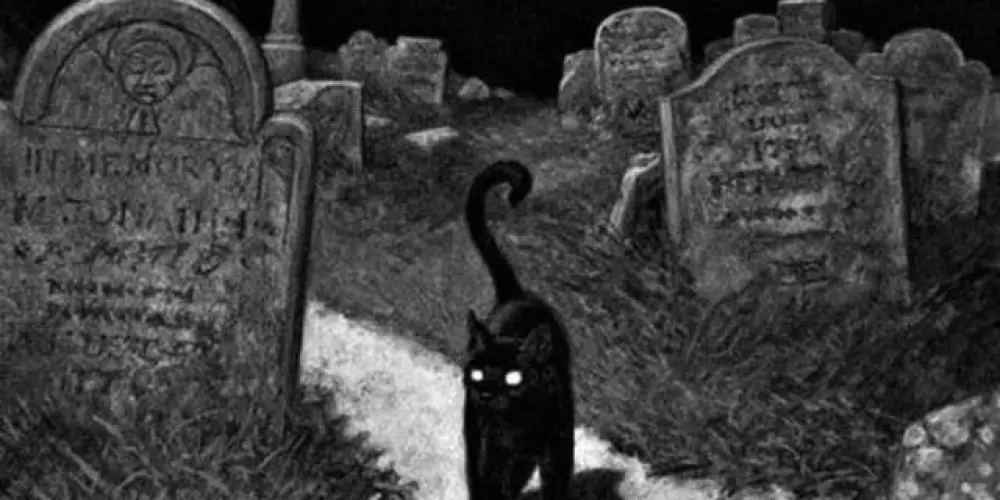 Imagem do grupo de WhatsApp シ︎IᑎᖴᗴᖇᑎO ᑎᗩ Tᗴᖇᖇᗩシ︎