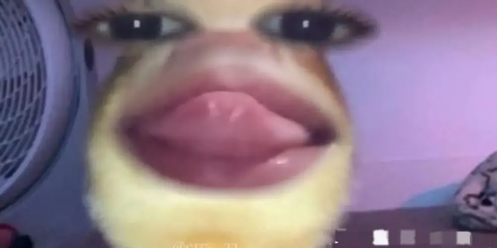 Imagem do grupo de WhatsApp ⚠️ᑕᗩᗷᗩᖇᕮ́ ᑭᕮᖇIＧOSO 🔥