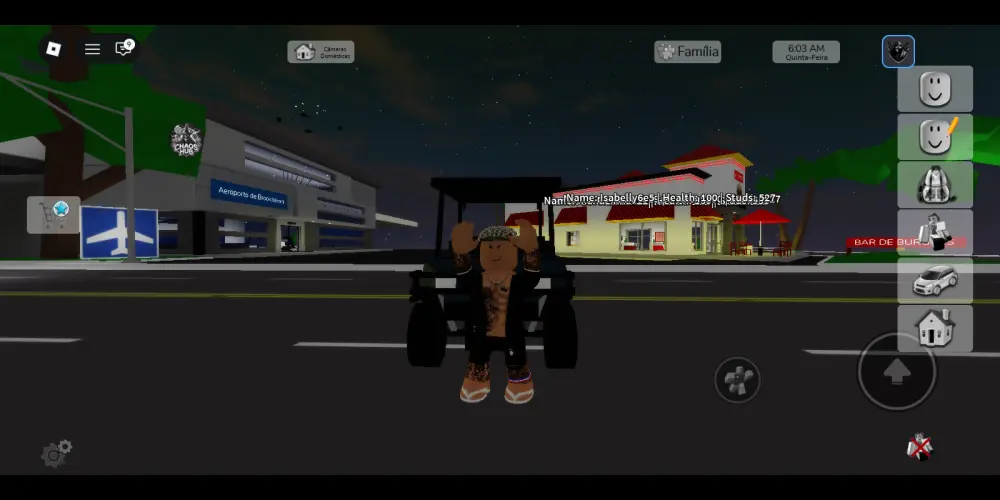 Imagem do grupo de WhatsApp © IRMÃ ™ DADE ® 💪🏽 JOGOS DO ROBLOX E AMIZADES LEGAIS