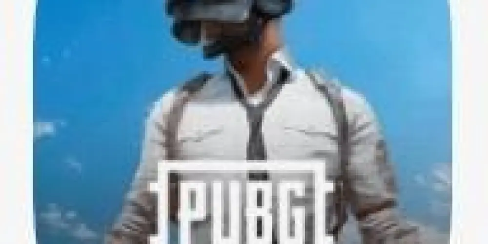 Imagem do grupo de WhatsApp Irmãos do pubg🪖