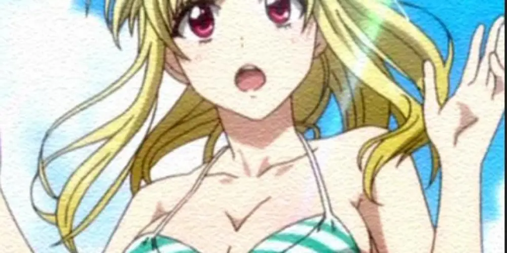 Imagem do grupo de WhatsApp Island Web 🌴