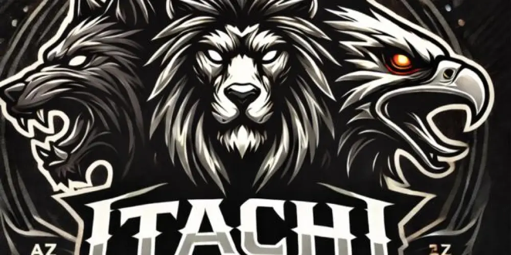 Imagem do grupo de WhatsApp ITACHI DIÁRIOS