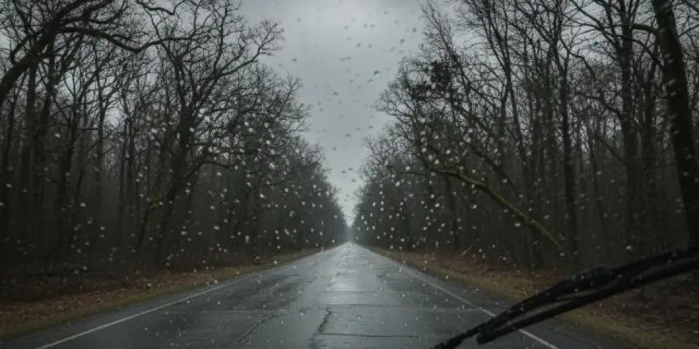 Imagem do grupo de WhatsApp ☆i'ts girls☆